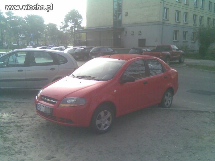 Kierowcy z Niska