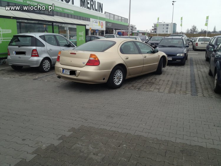 Mistrz parkowania ...