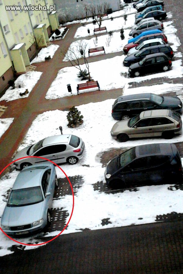 Kolejny autodrań
