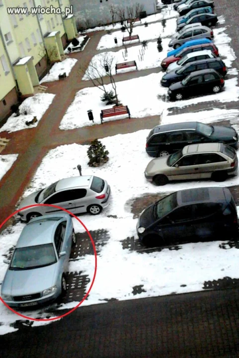 Kolejny autodrań