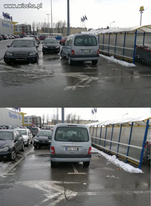 Bądź BURAKIEM.