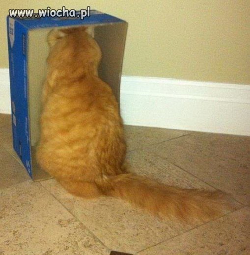 Foch...