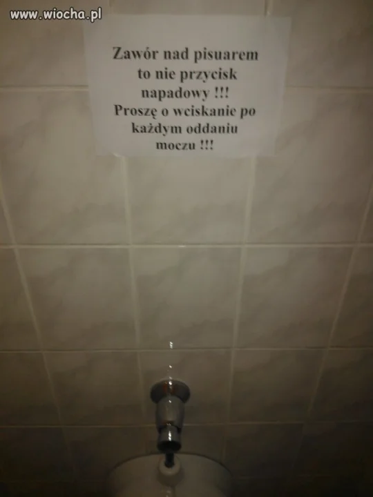 W pewnej TOALECIE