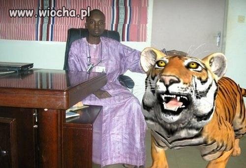 Mistrz photoshopa