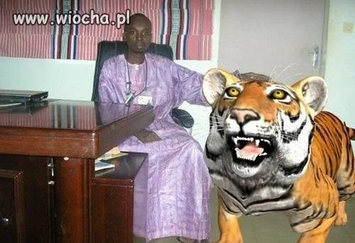 Mistrz photoshopa