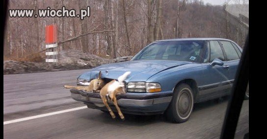 I jedziemy dalej