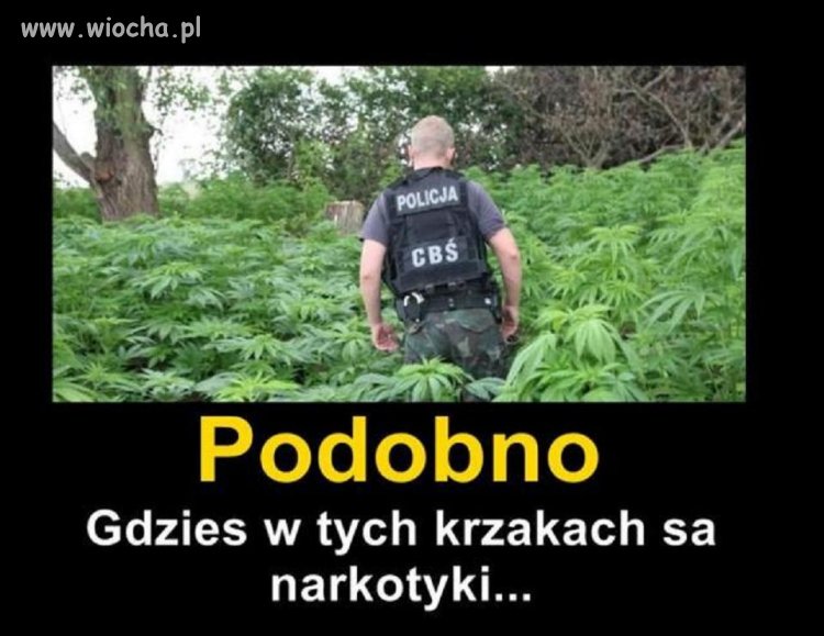 Zielono nam się zrobiło troszkę.
