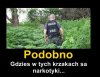 Zielono nam się zrobiło troszkę.
