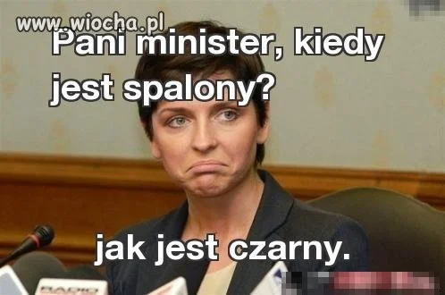 Pani minister