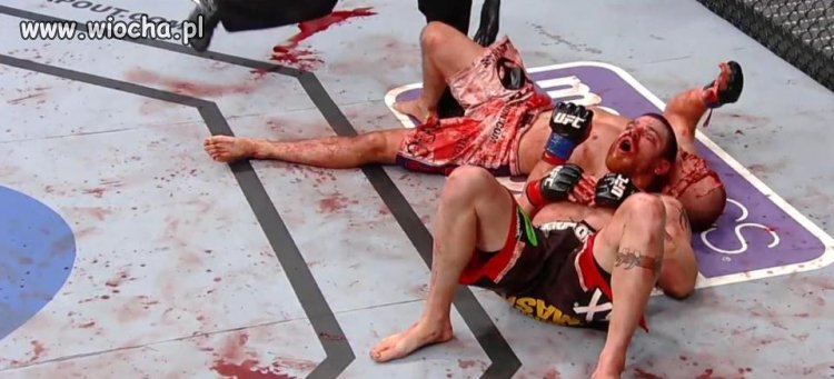 UFC Walki MMA Zwanę Krwawymi Sportami 