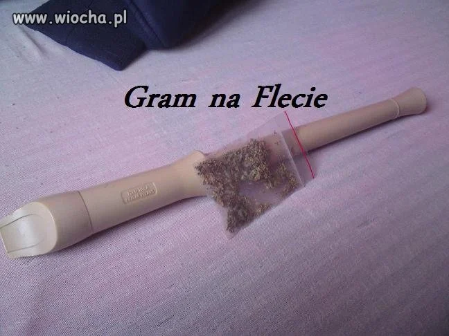 Gra słów 