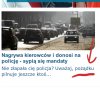 Mistrz ortografii