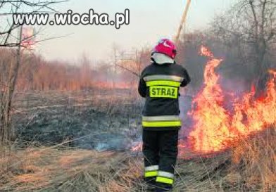Straż Pożarna zamiast ratować  ludzi ,domy