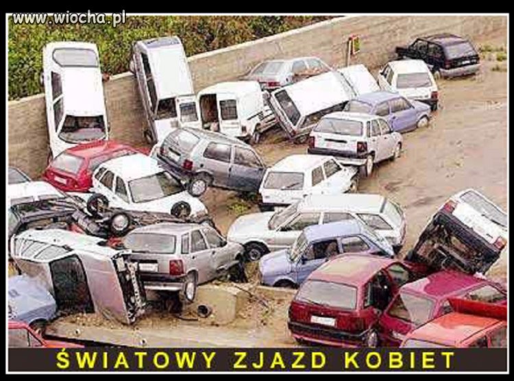 Mistrzowie parkowania.