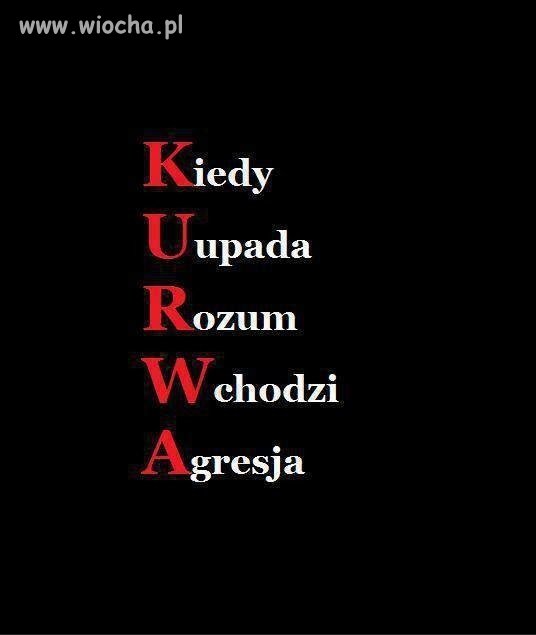 Kiedy czytam komentarze niektórych"użytkowników"