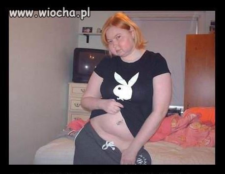 Chomiczek Playboya 