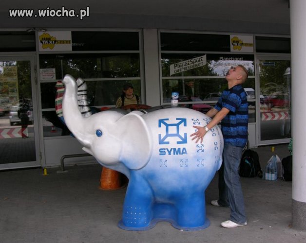 Gwałt na słoniu