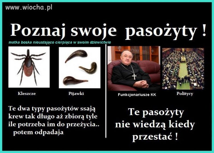Pasożyty