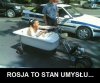Mam prawo jazdy na wannę