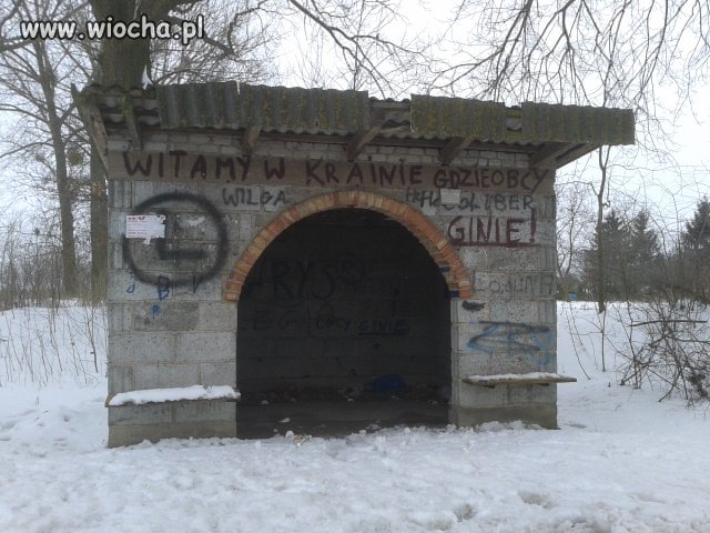 Witamy w krainie gdzie obcy ginie...