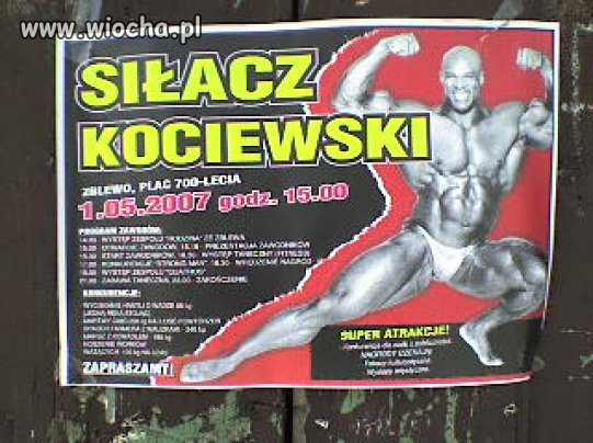 Prawdziwy, rasowy kociewiak