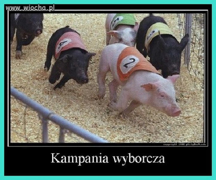 Już wkrótce kampania wyborcza do Parlamentu UE