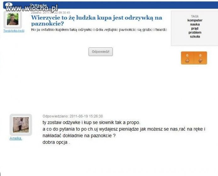 Odżywka