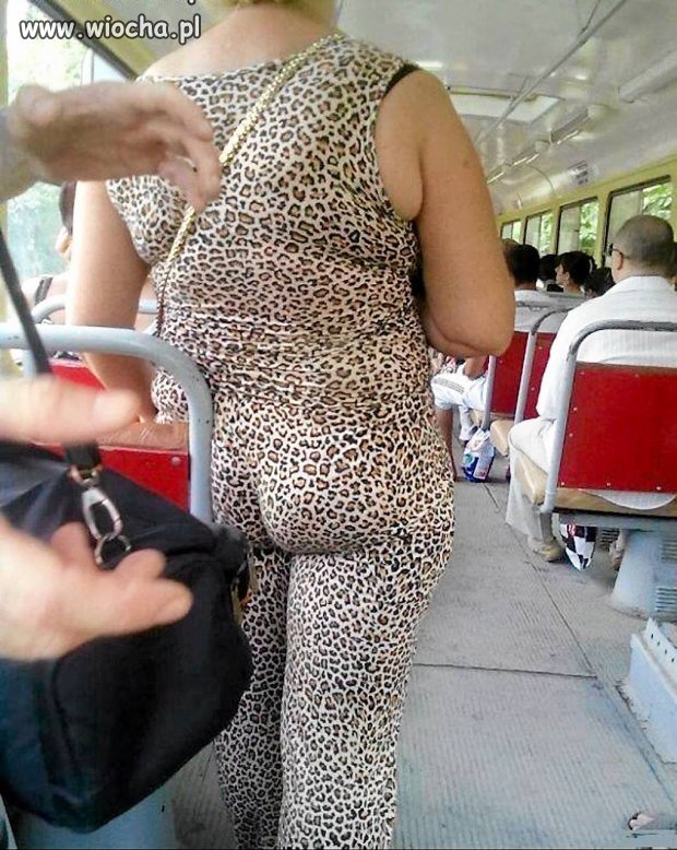 Wrrr...dzika kocica