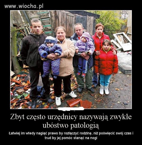 BO W POLSCE JAK BIENY, TO PATOLOGIA