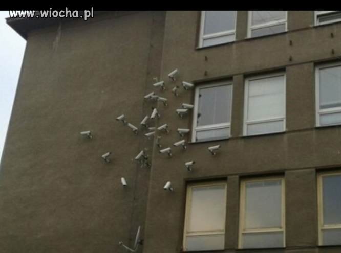 Ciekawe, jaki idiota wpadł