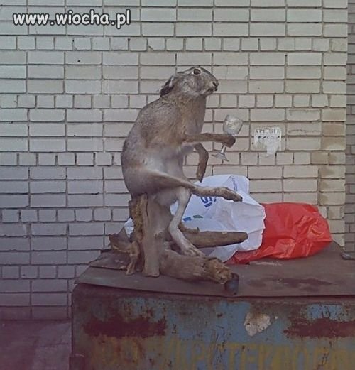 Artystę poniosło