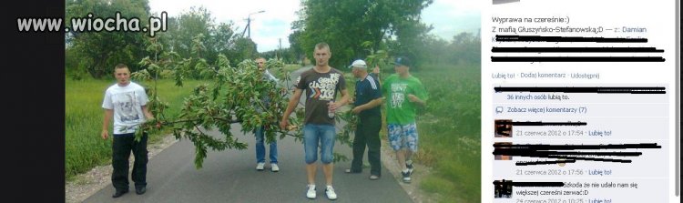 Strzeżcie się bowiem mafia nadchodzi 