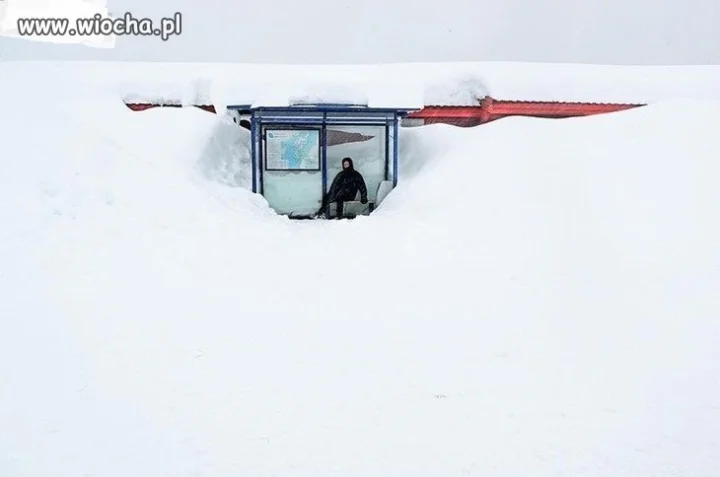 Bilety drogie, a autobusy nadal się spóźniają