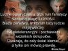 Gdzie zaczyna się fanatyzm, 