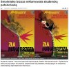 Skąd bierze się głupota studentów?