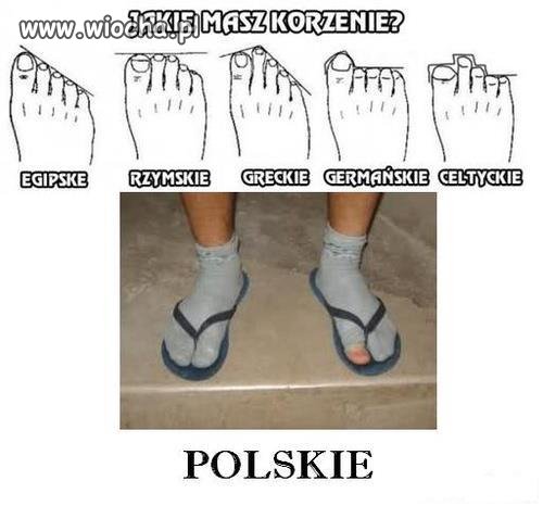 Jakie masz korzenie?