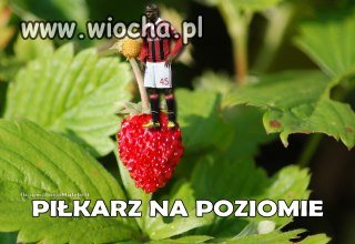 Piłkarz