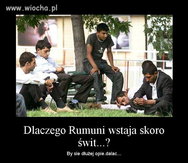 No właśnie ? 