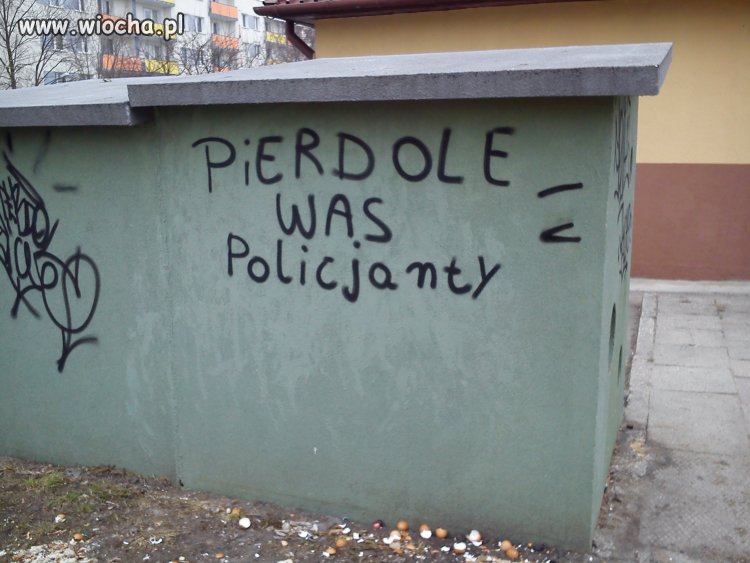 Polska język