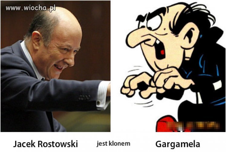 Klonowanie