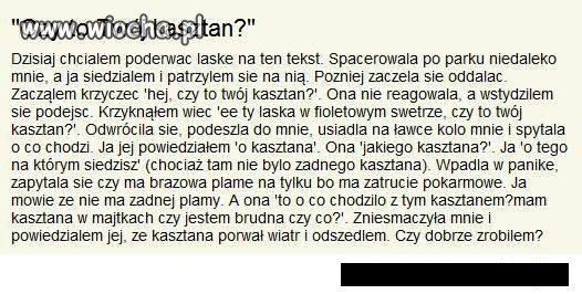 Prawie że miłosna historia