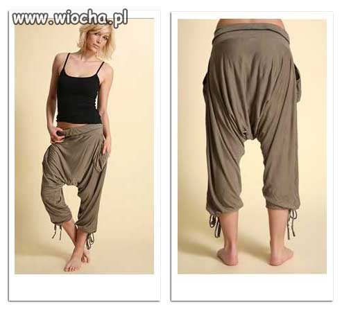 Moda schodzi na psy...