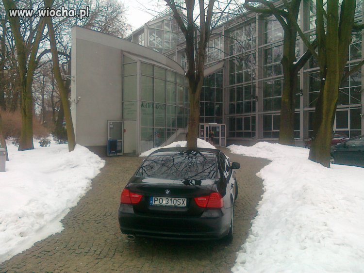 Buractwo z BMW.