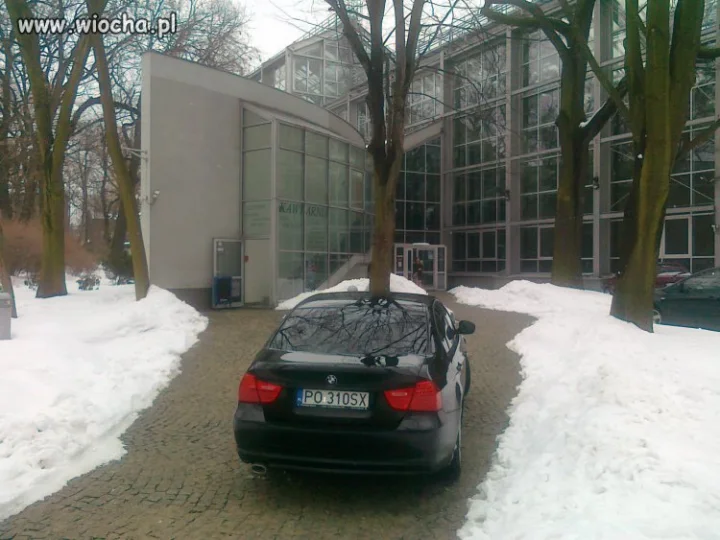 Buractwo z BMW.