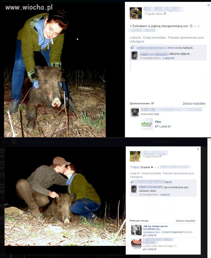 Polska głupota