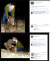 Polska głupota