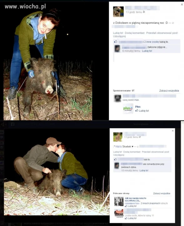 Polska głupota