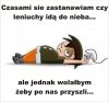 Co racja