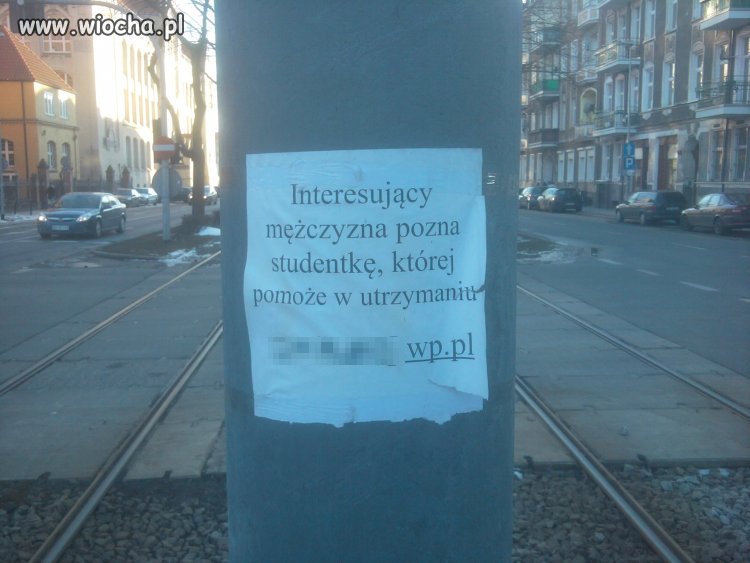 Poszukiwacz