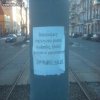 Poszukiwacz